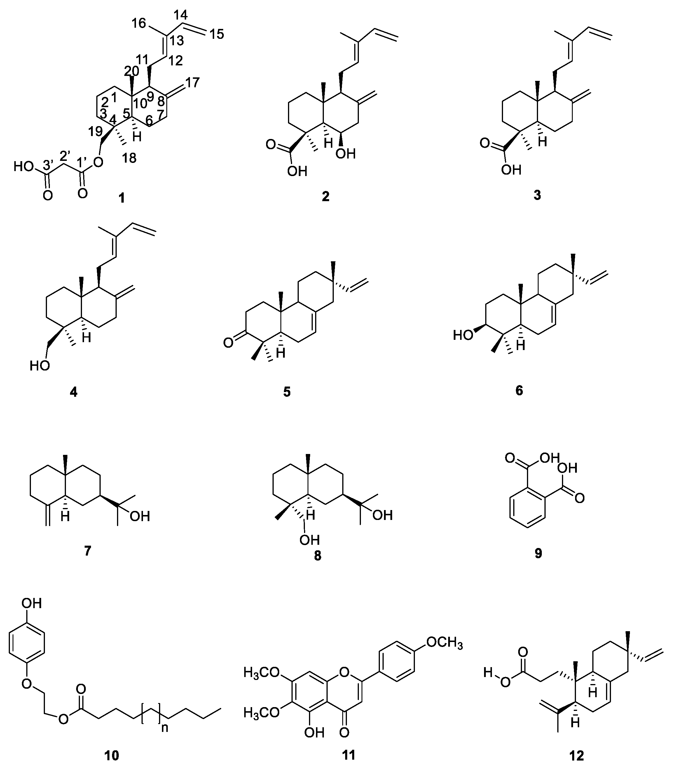Molecules 25 01808 g001