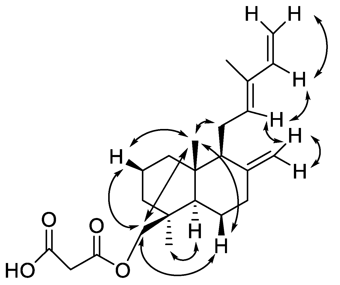 Molecules 25 01808 g002