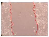 Molecules 25 01828 i003 Molecules 25 01828 i003