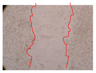 Molecules 25 01828 i007 Molecules 25 01828 i007