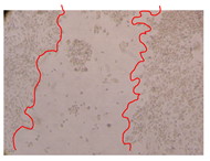 Molecules 25 01828 i008 Molecules 25 01828 i008