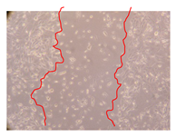 Molecules 25 01828 i012 Molecules 25 01828 i012