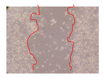 Molecules 25 01828 i014 Molecules 25 01828 i014