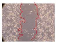 Molecules 25 01828 i015 Molecules 25 01828 i015