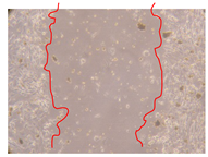 Molecules 25 01828 i016 Molecules 25 01828 i016