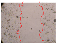 Molecules 25 01828 i017 Molecules 25 01828 i017