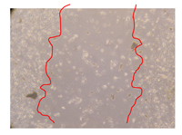 Molecules 25 01828 i020 Molecules 25 01828 i020