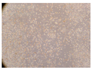 Molecules 25 01828 i025 Molecules 25 01828 i025