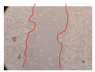 Molecules 25 01828 i027 Molecules 25 01828 i027