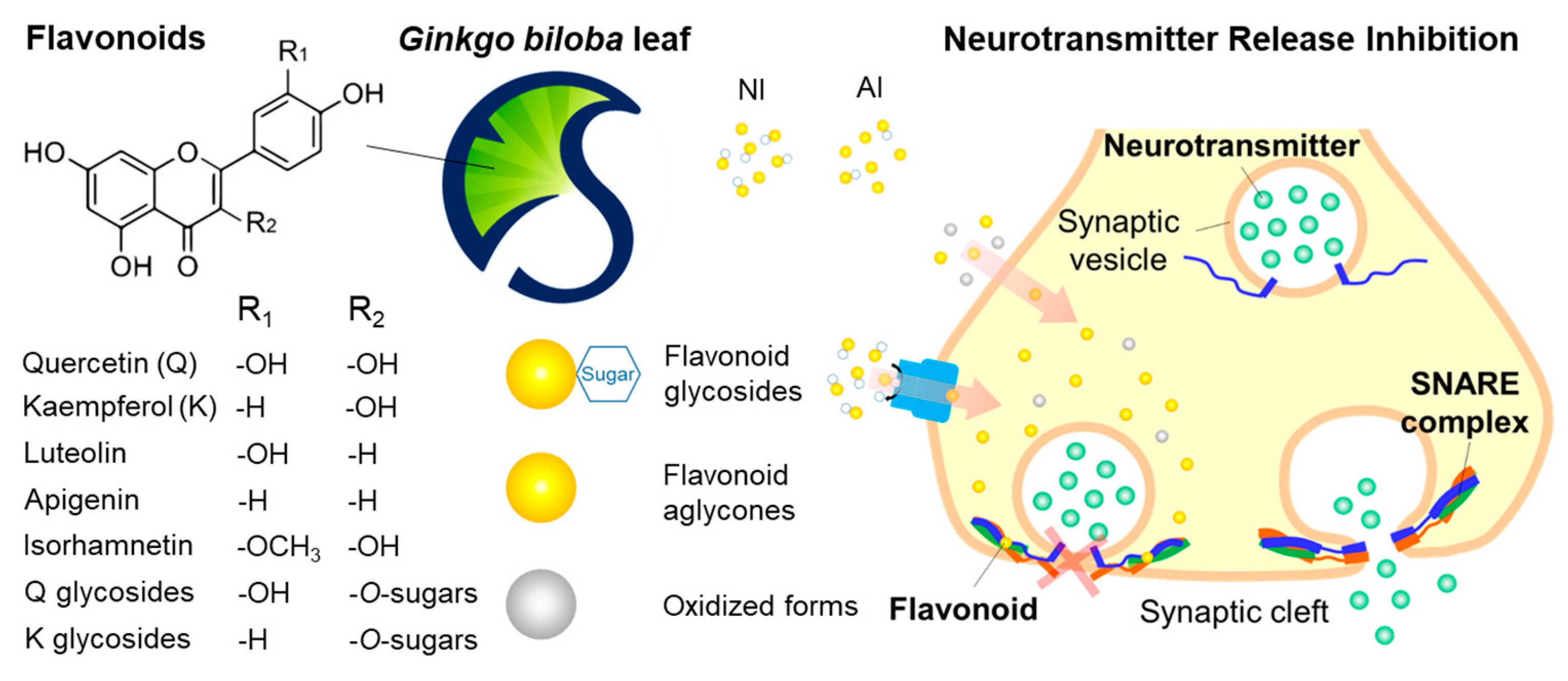 Molecules 25 01829 g006