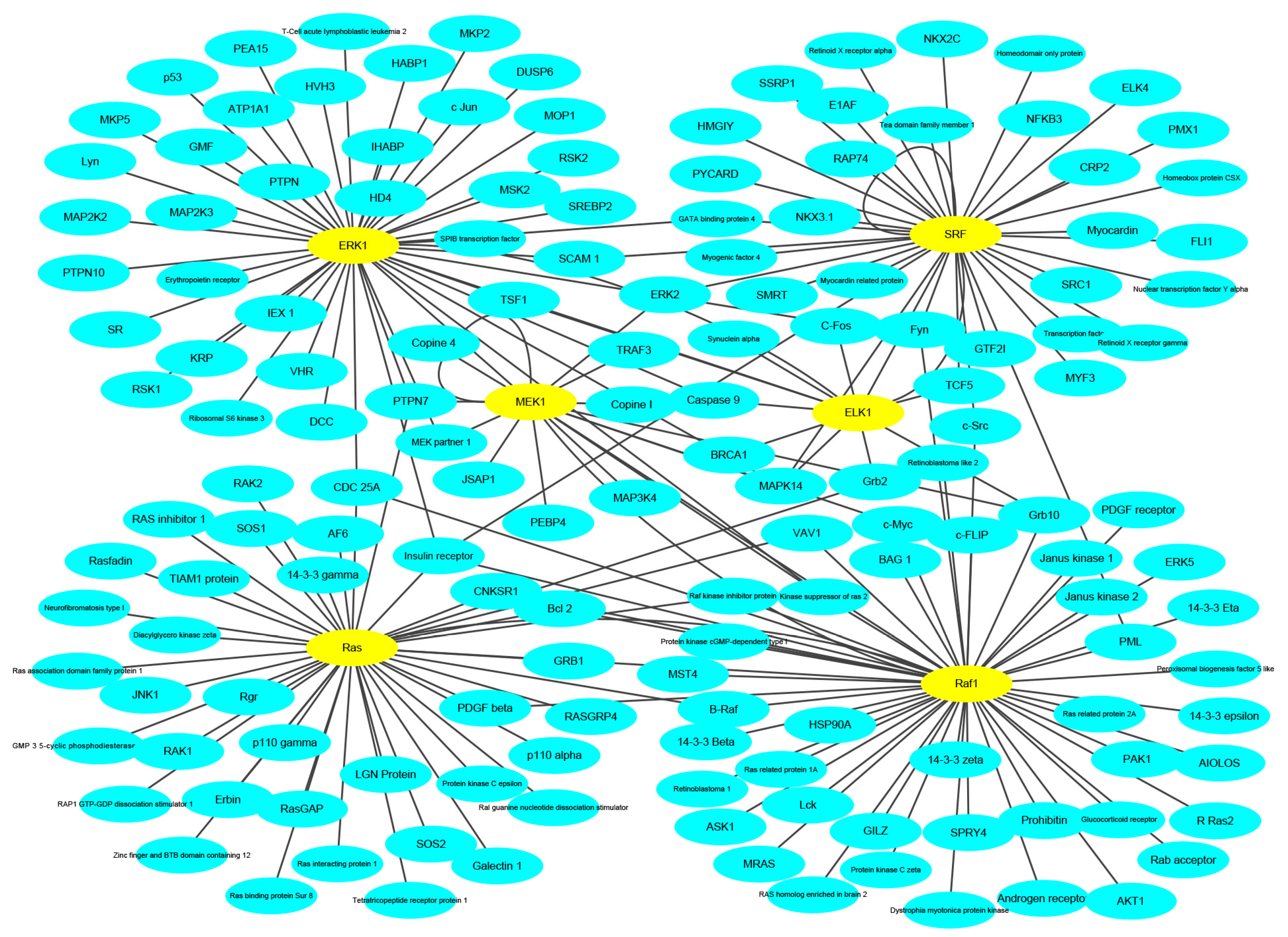 Molecules 25 01841 g006
