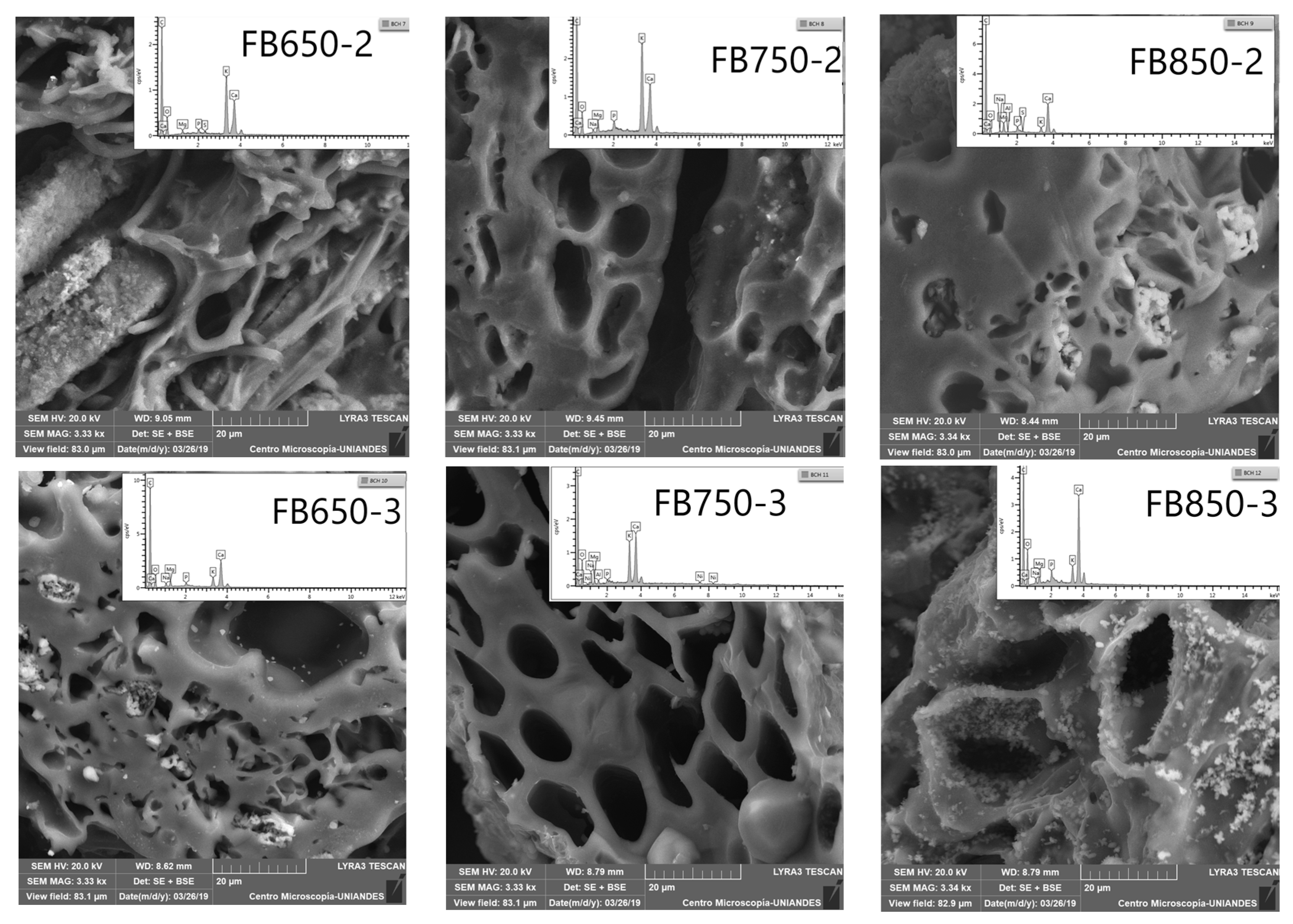 Molecules 25 01849 g001