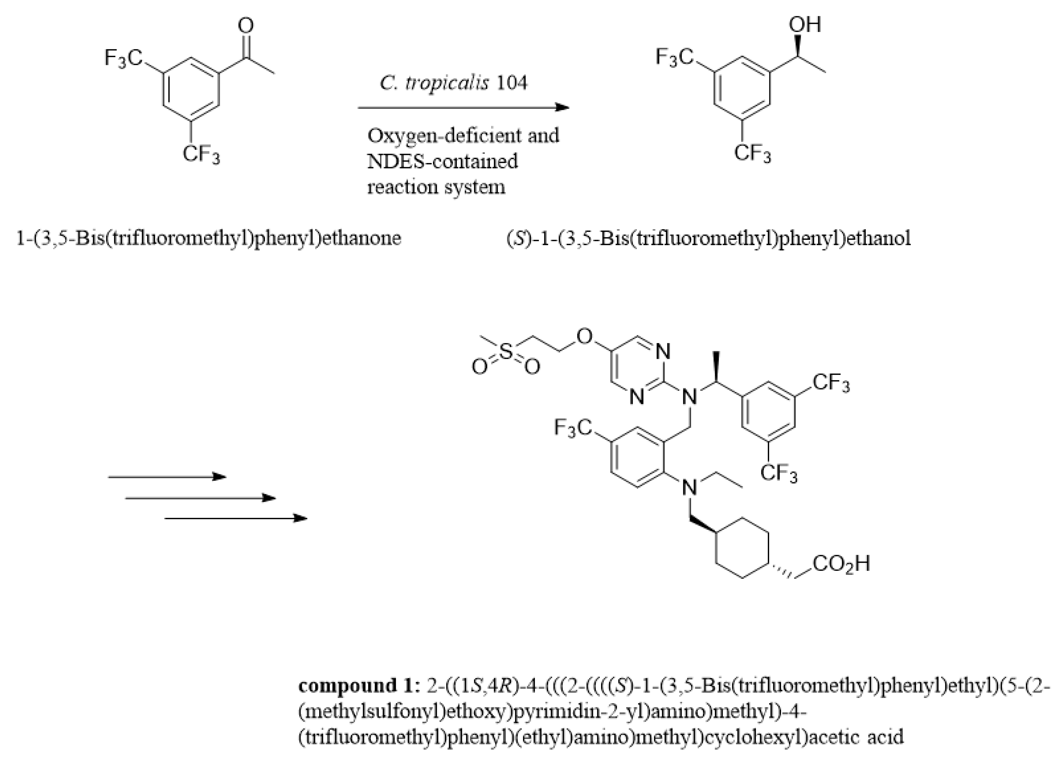 Molecules 25 01855 g001