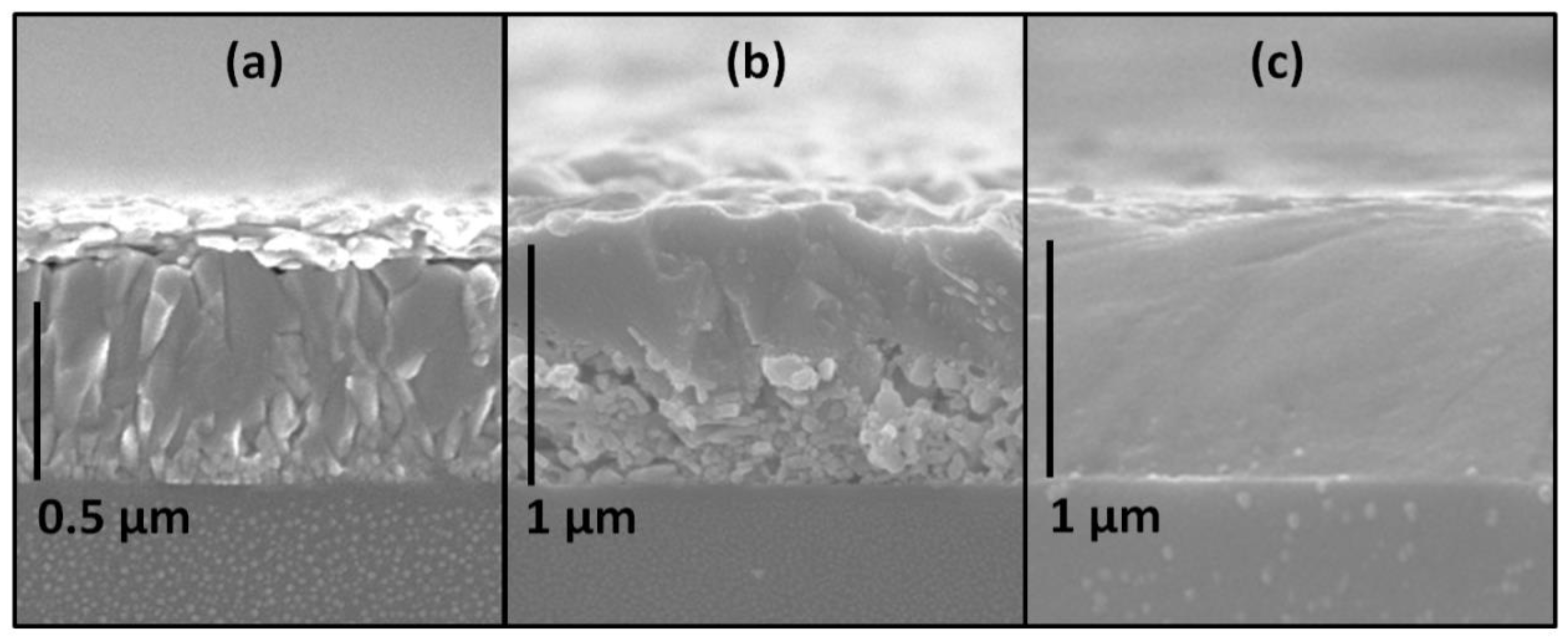 Molecules 25 01856 g003 Molecules 25 01856 g003
