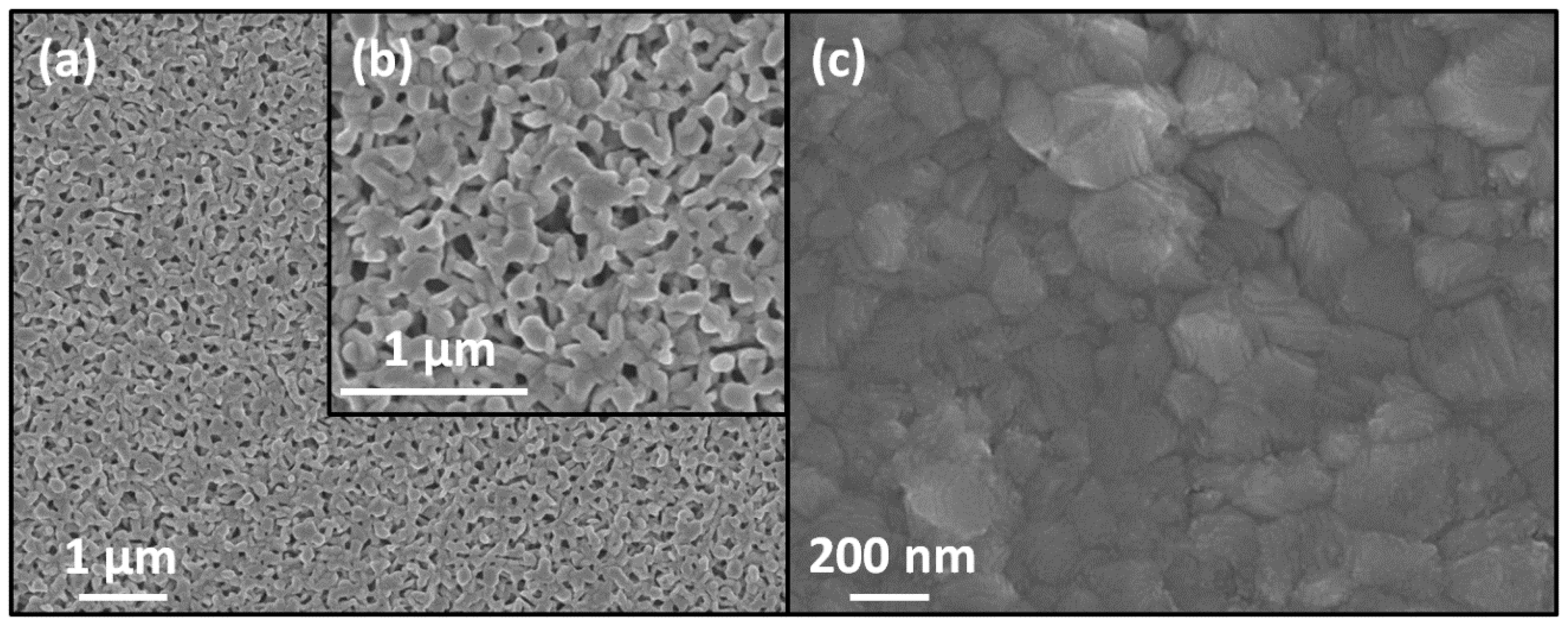 Molecules 25 01856 g004 Molecules 25 01856 g004