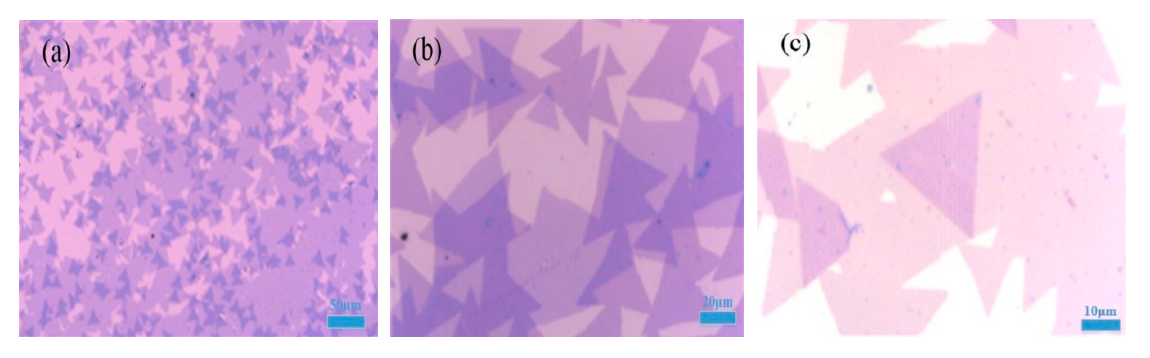 Molecules 25 01857 g002 Molecules 25 01857 g002
