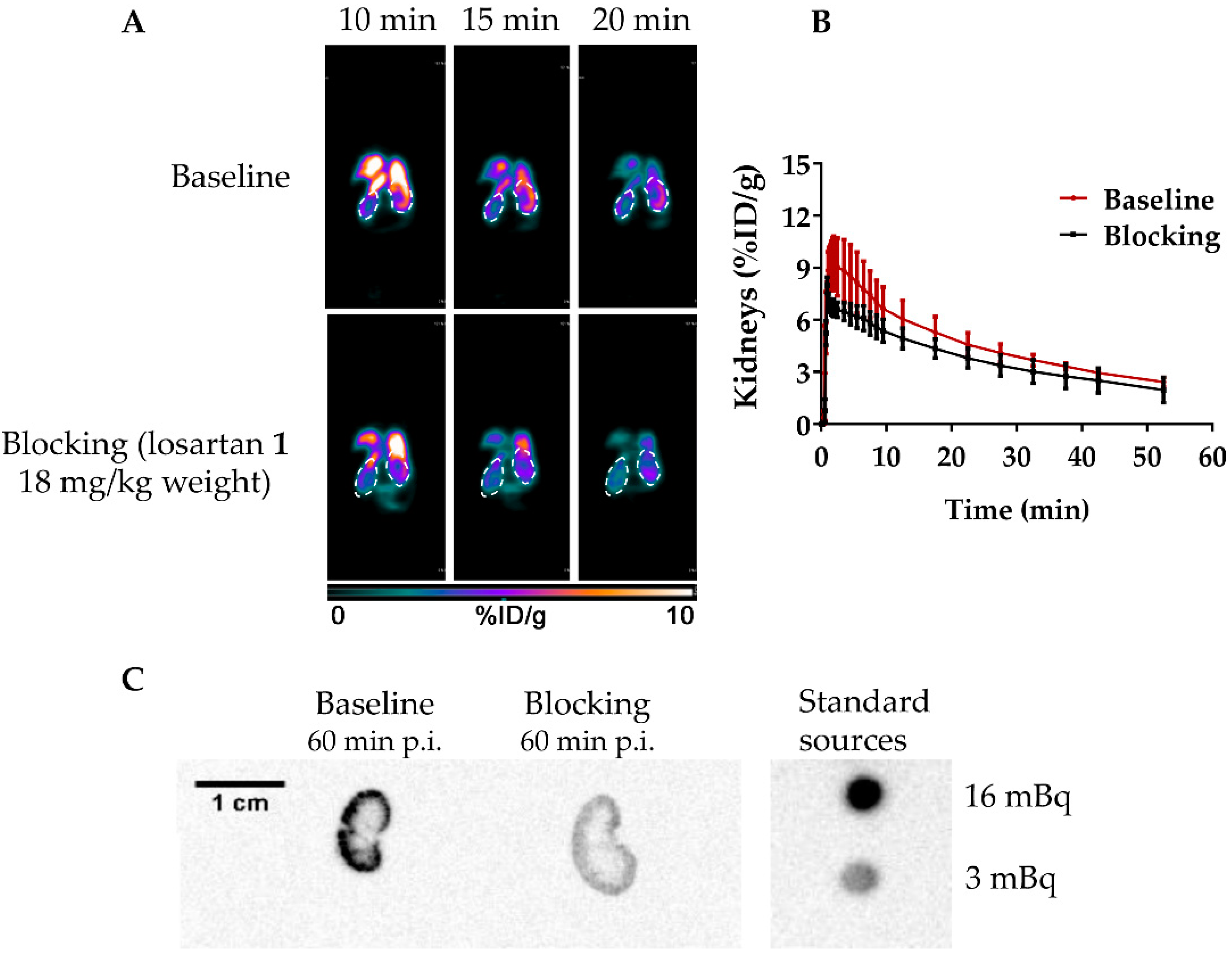 Molecules 25 01872 g004 Molecules 25 01872 g004