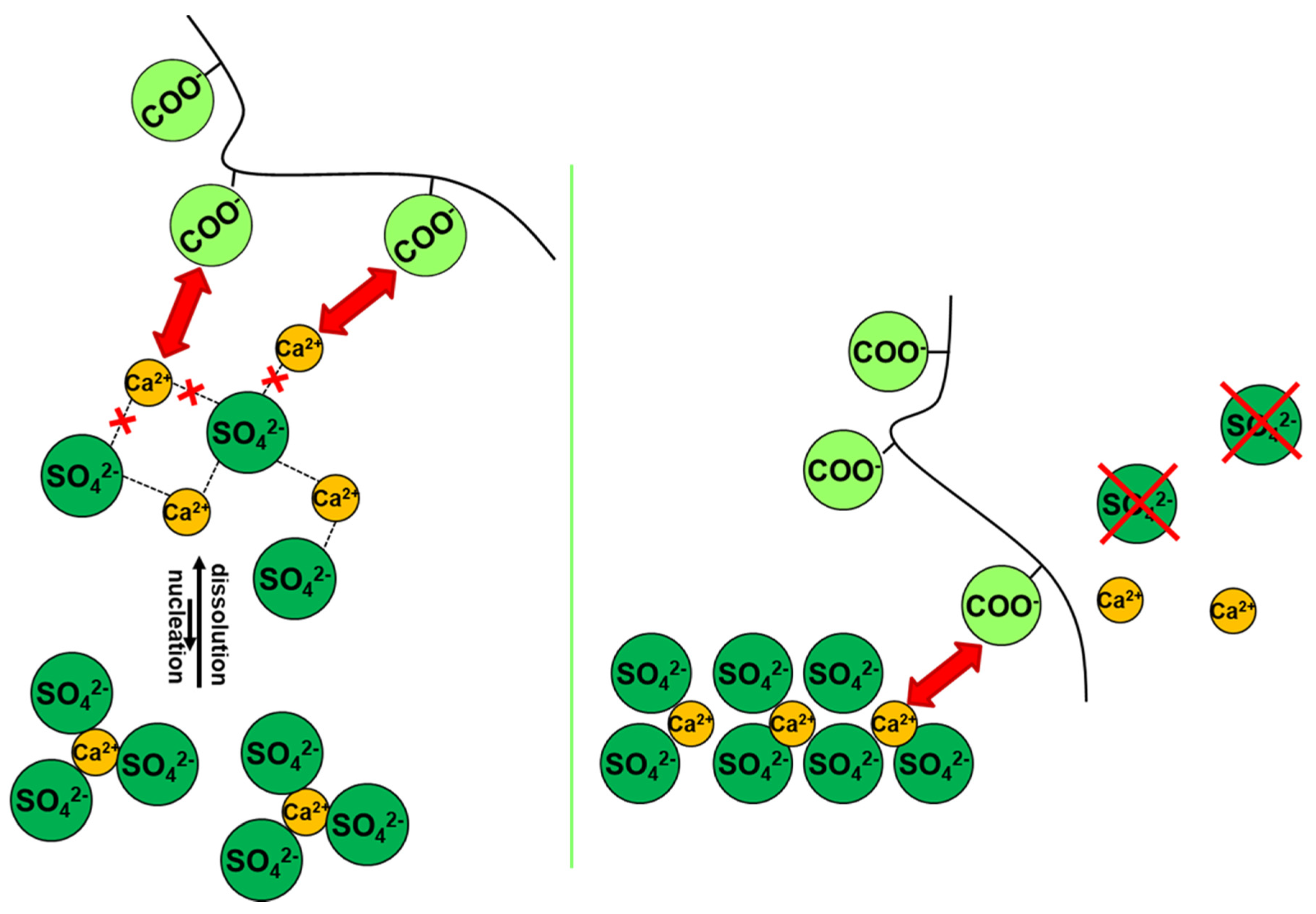 Molecules 25 01873 g003