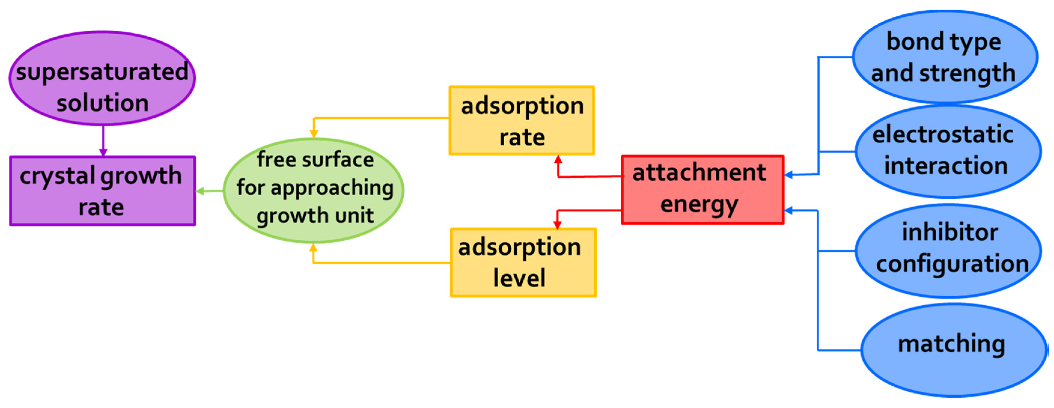Molecules 25 01873 g004