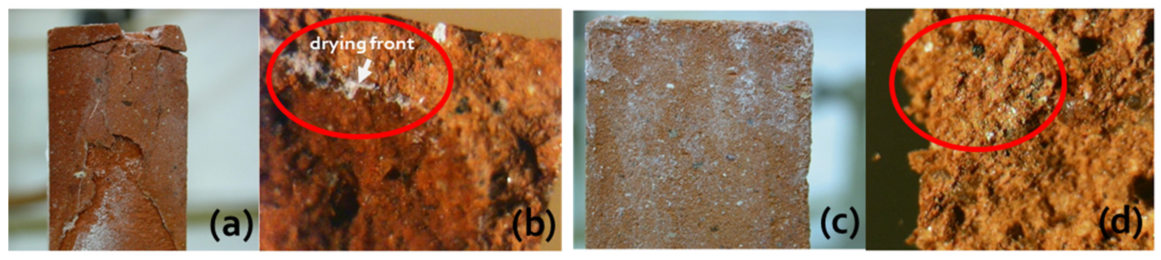 Molecules 25 01873 g005