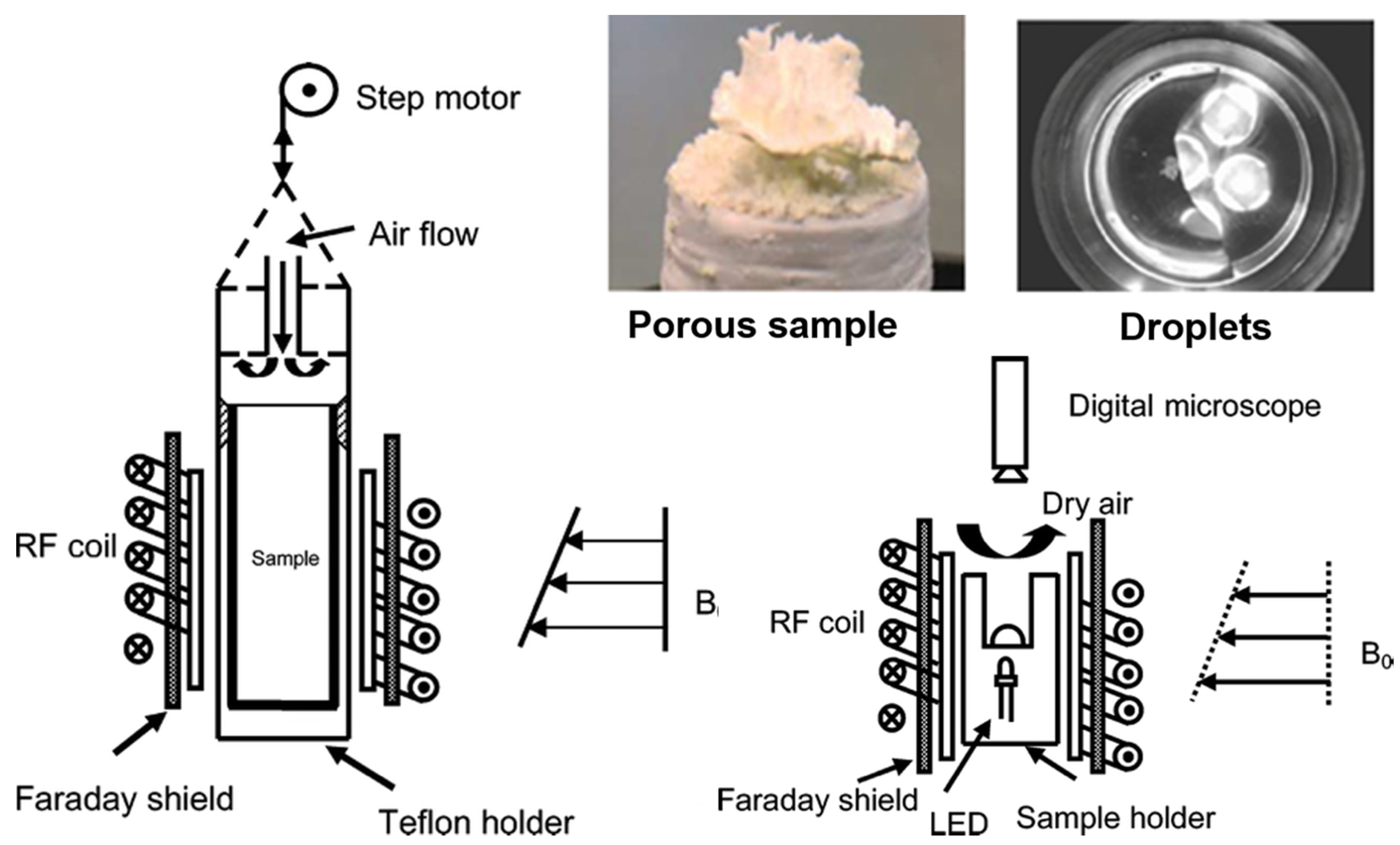 Molecules 25 01873 g009