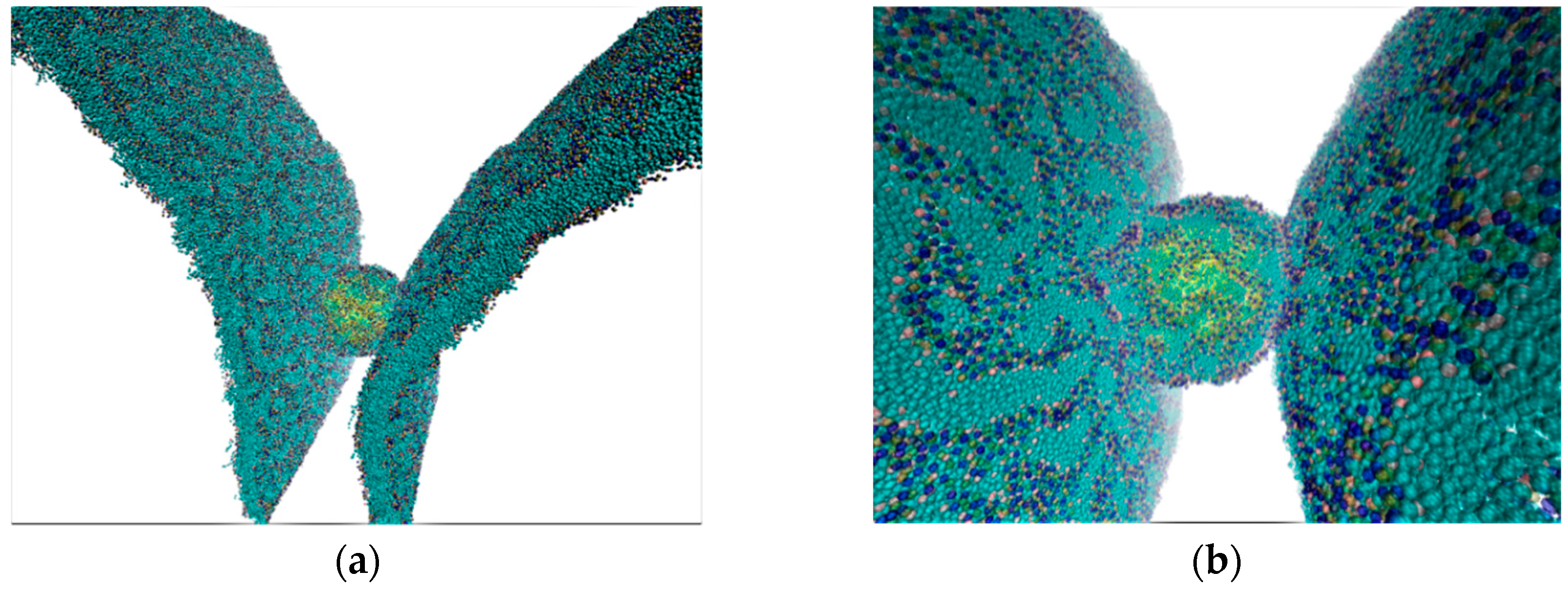 Molecules 25 01875 g002