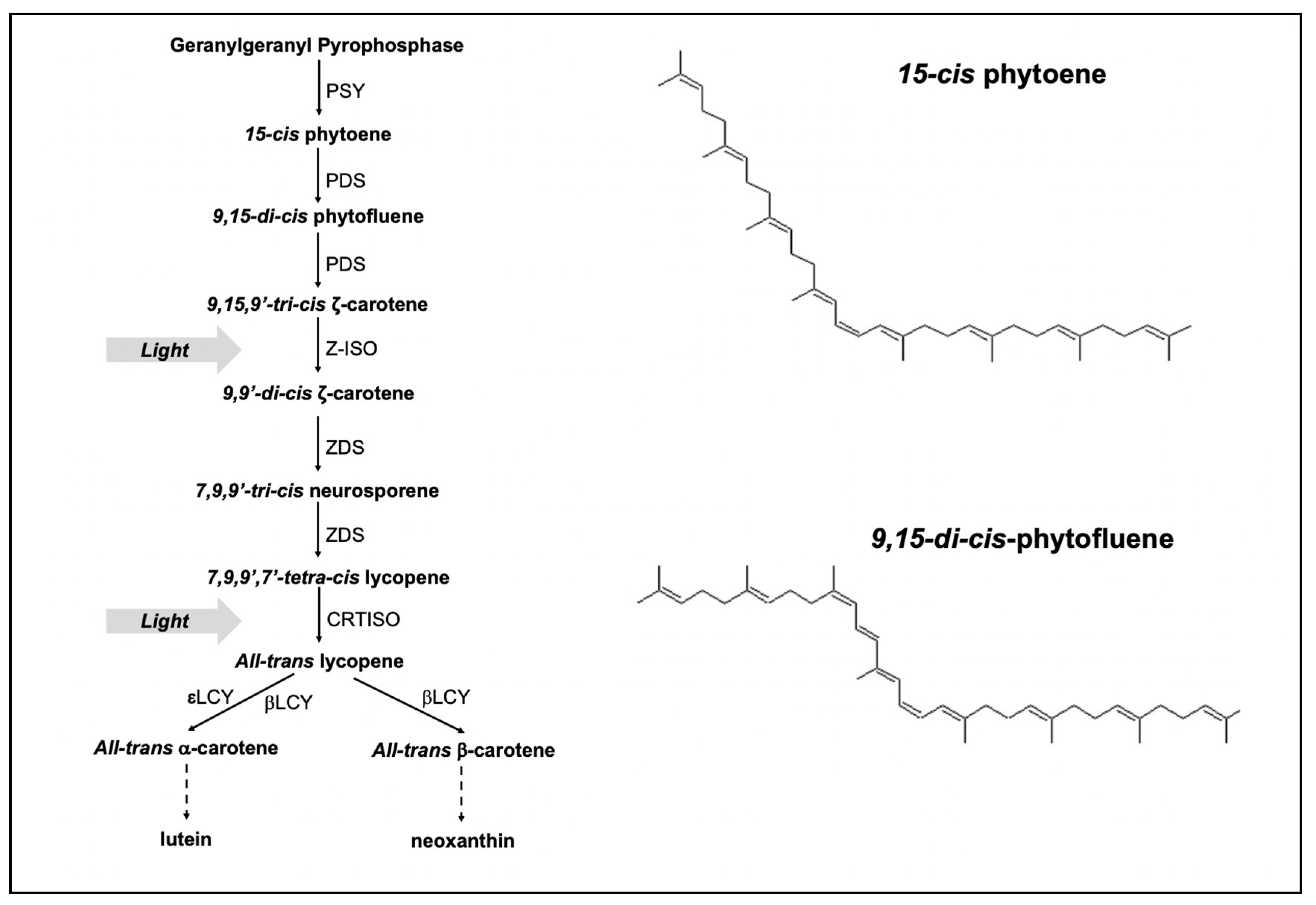Molecules 25 01880 g001