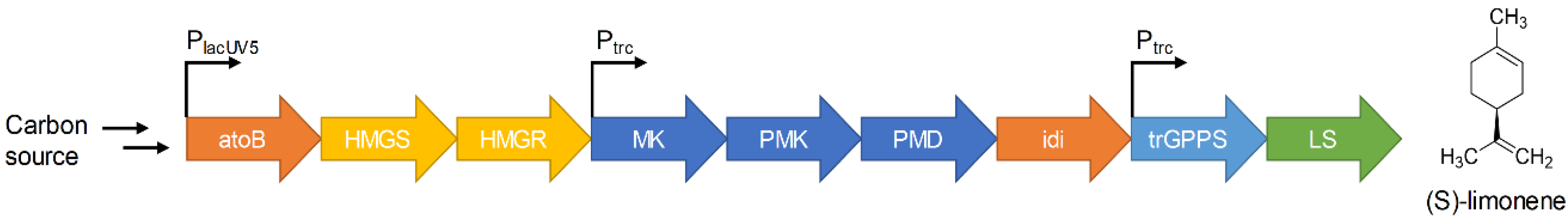 Molecules 25 01881 g001
