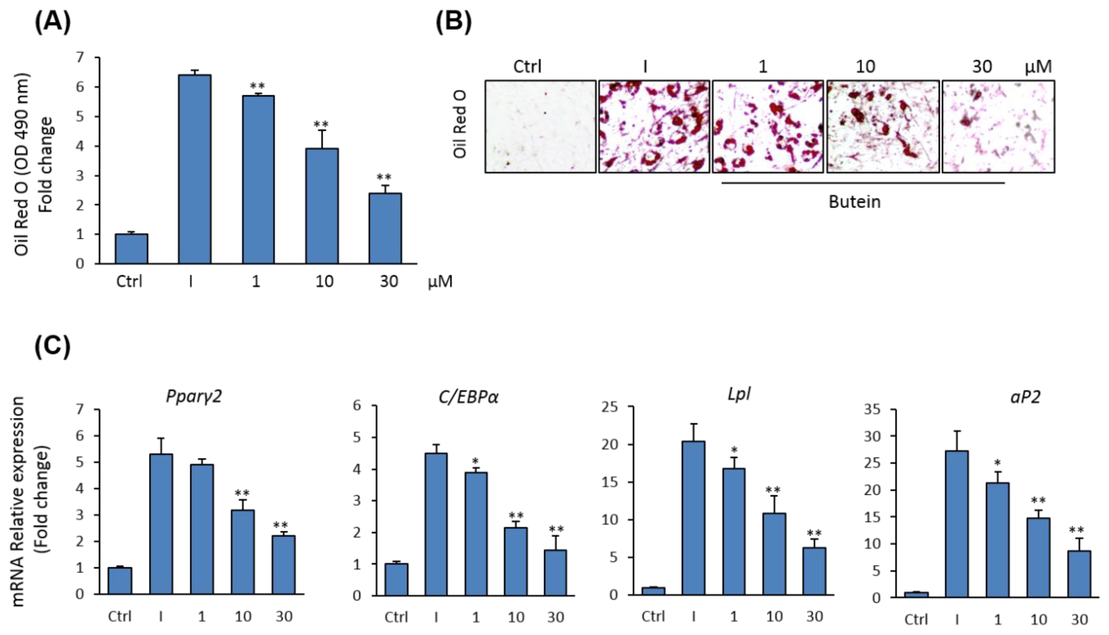 Molecules 25 01885 g003