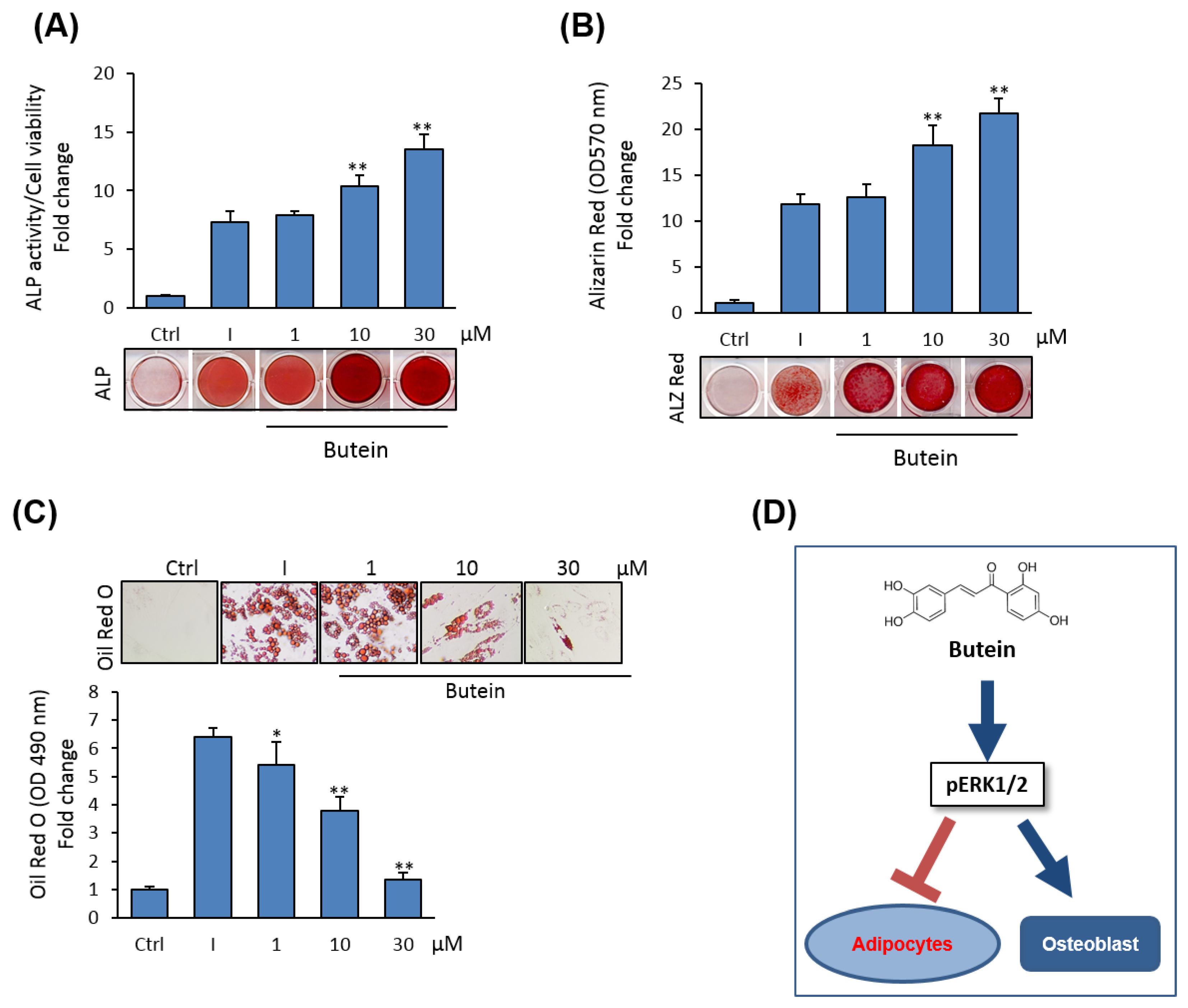Molecules 25 01885 g006
