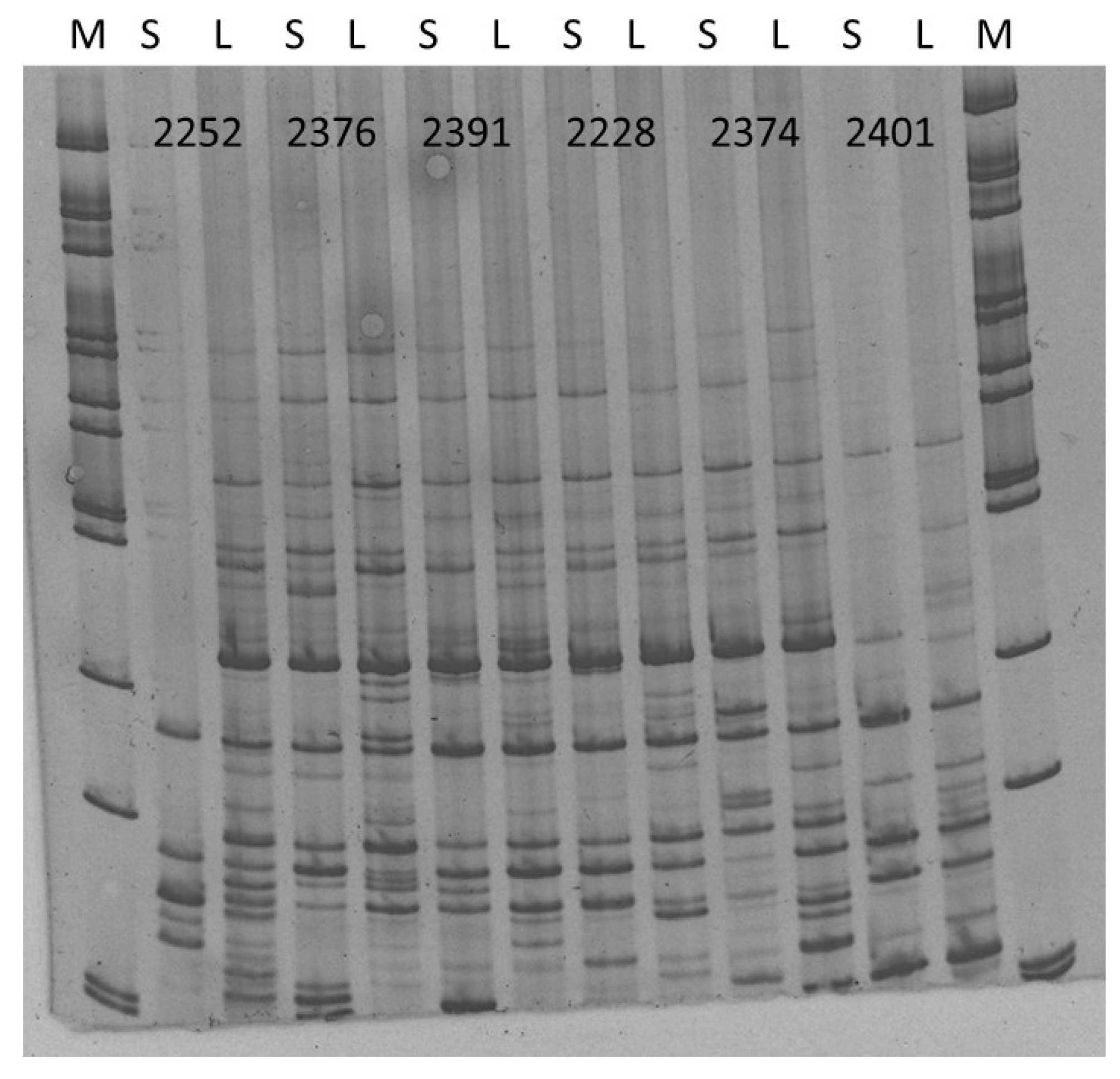 Molecules 25 01888 g007 Molecules 25 01888 g007