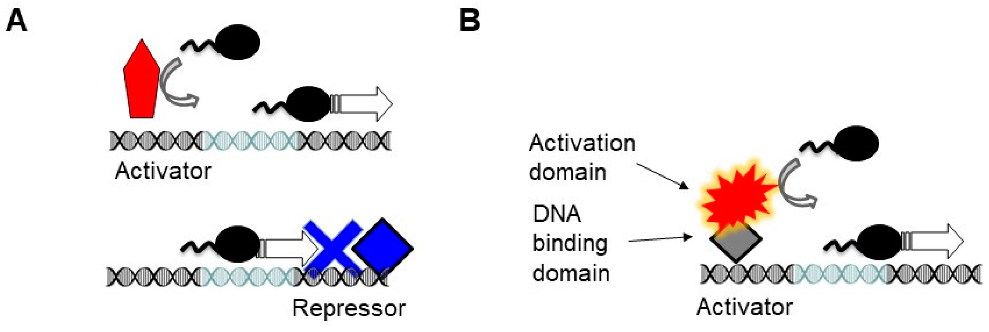 Molecules 25 01902 g001