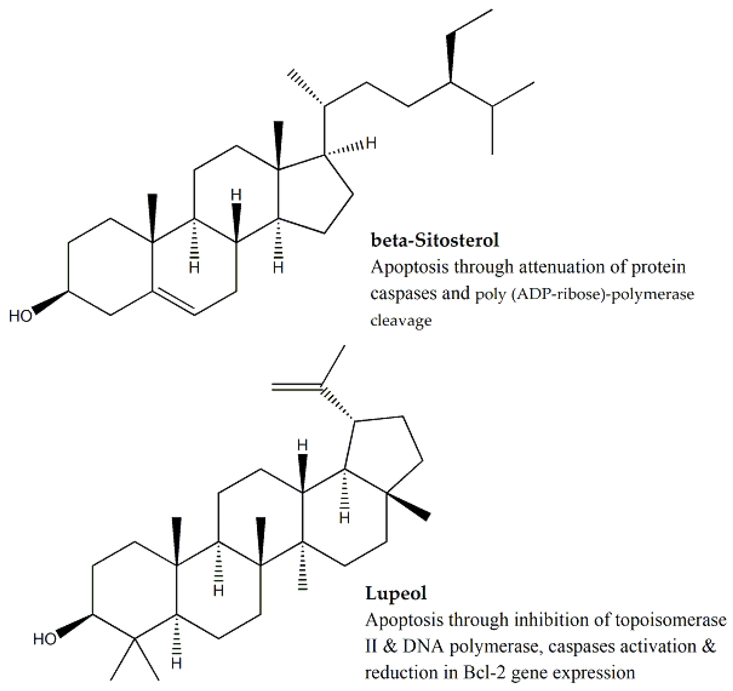 Molecules 25 01904 g008 Molecules 25 01904 g008