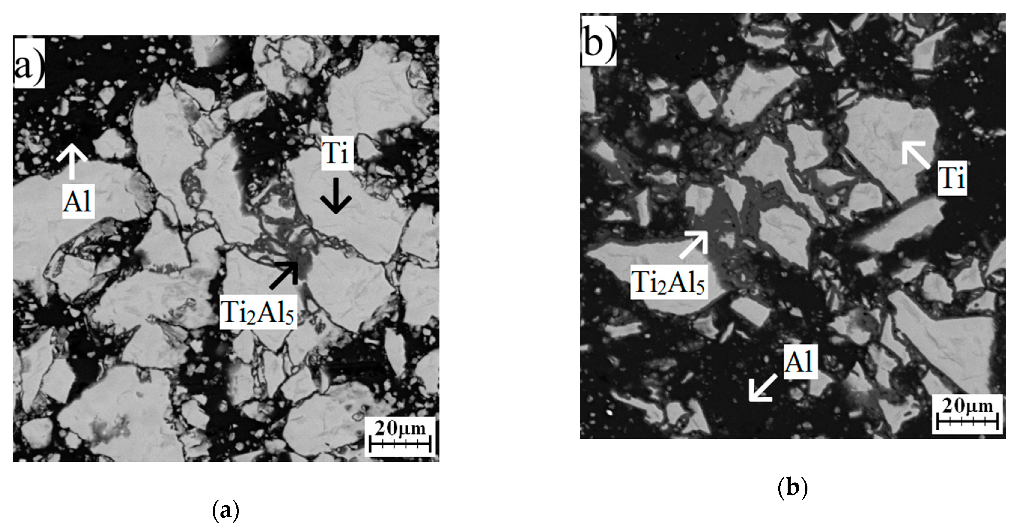 Molecules 25 01912 g006a Molecules 25 01912 g006a