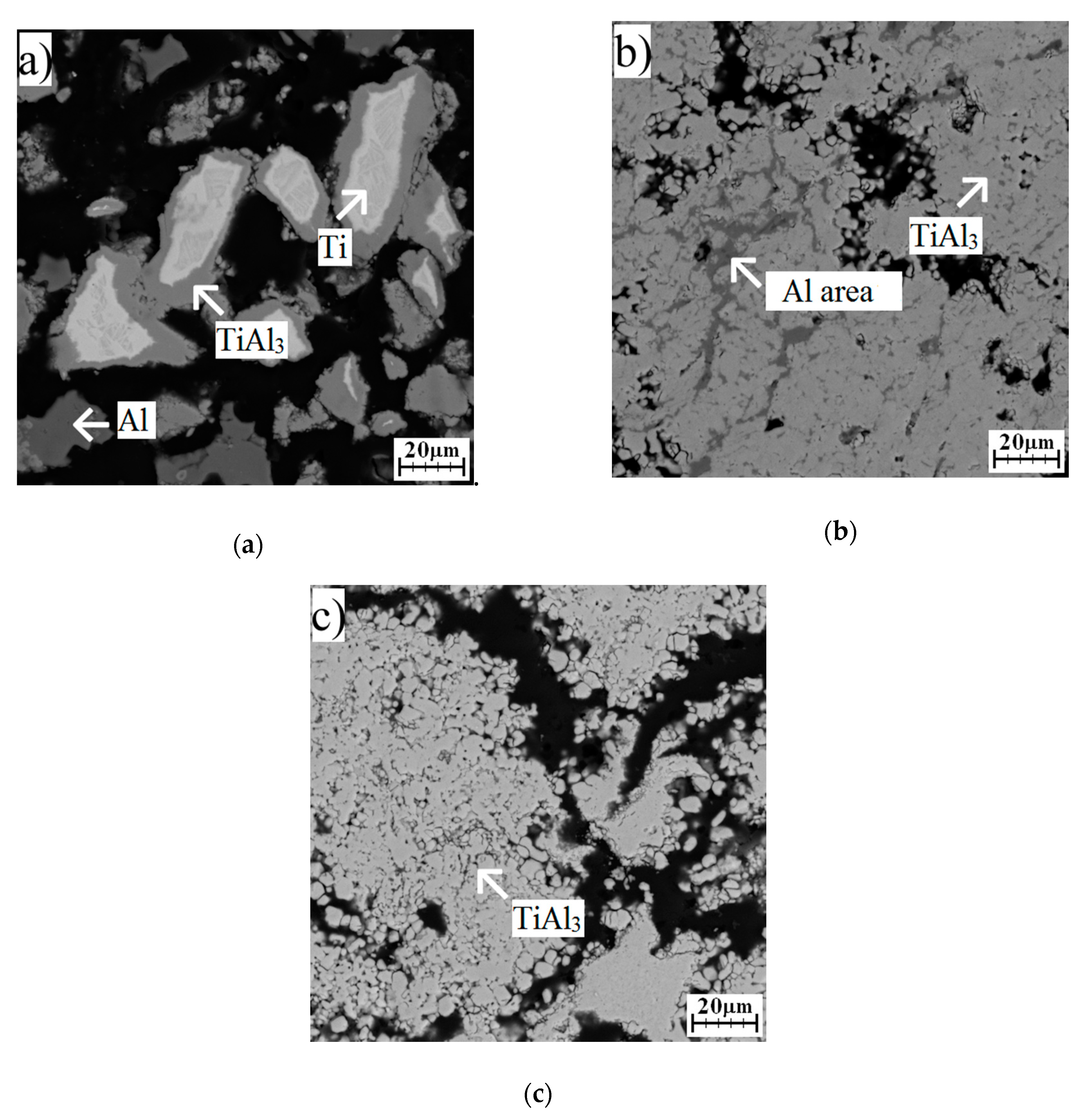 Molecules 25 01912 g008 Molecules 25 01912 g008