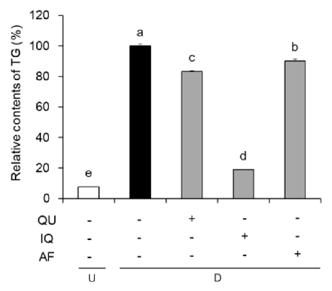 Molecules 25 01920 g003