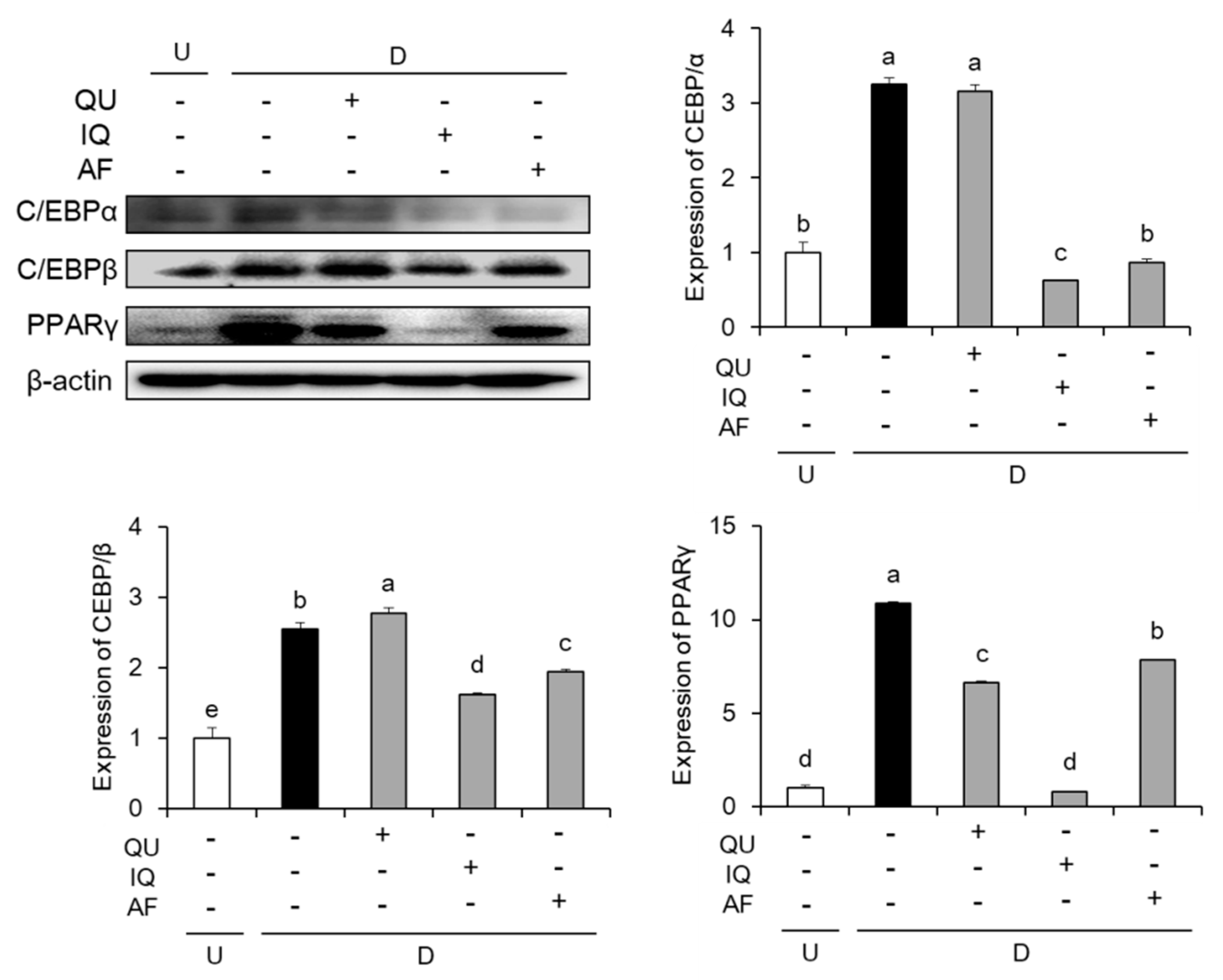 Molecules 25 01920 g004