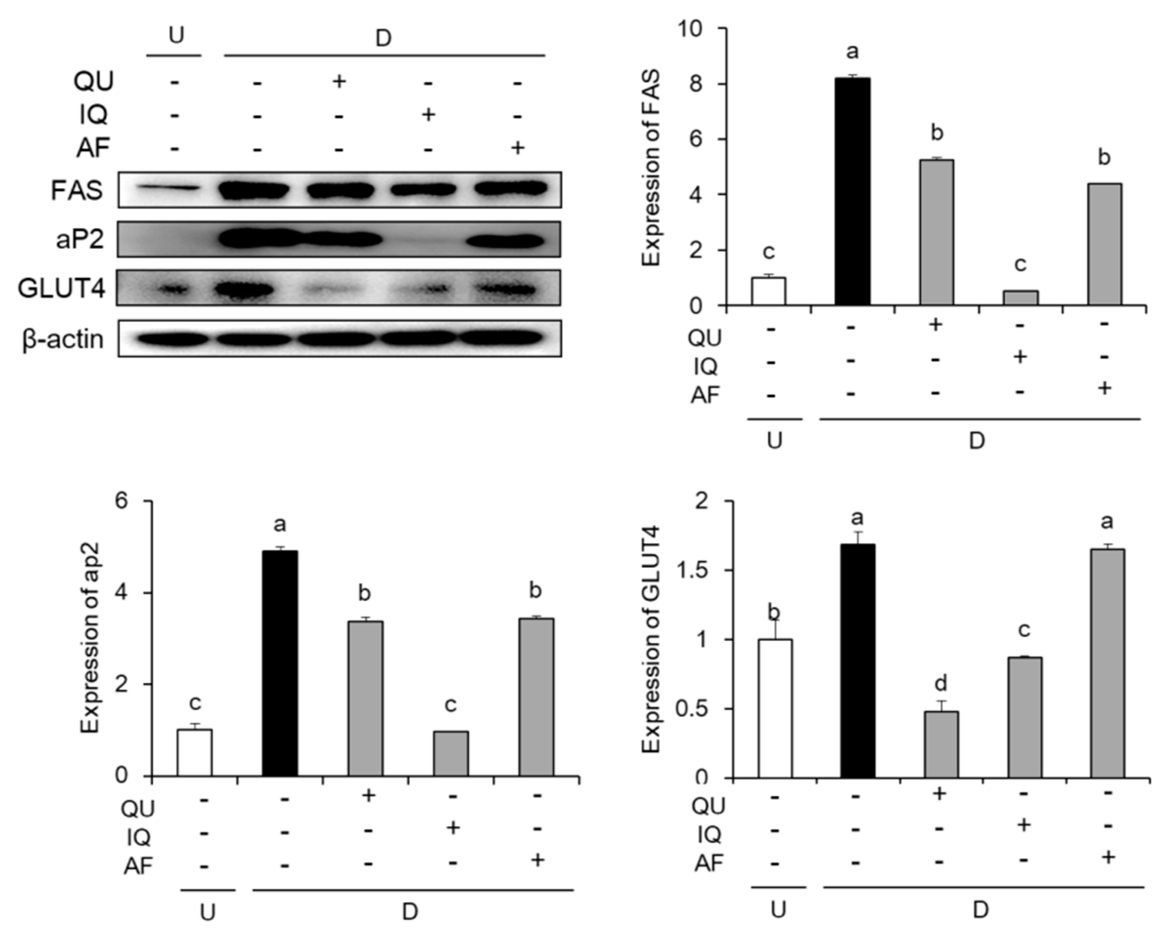 Molecules 25 01920 g005
