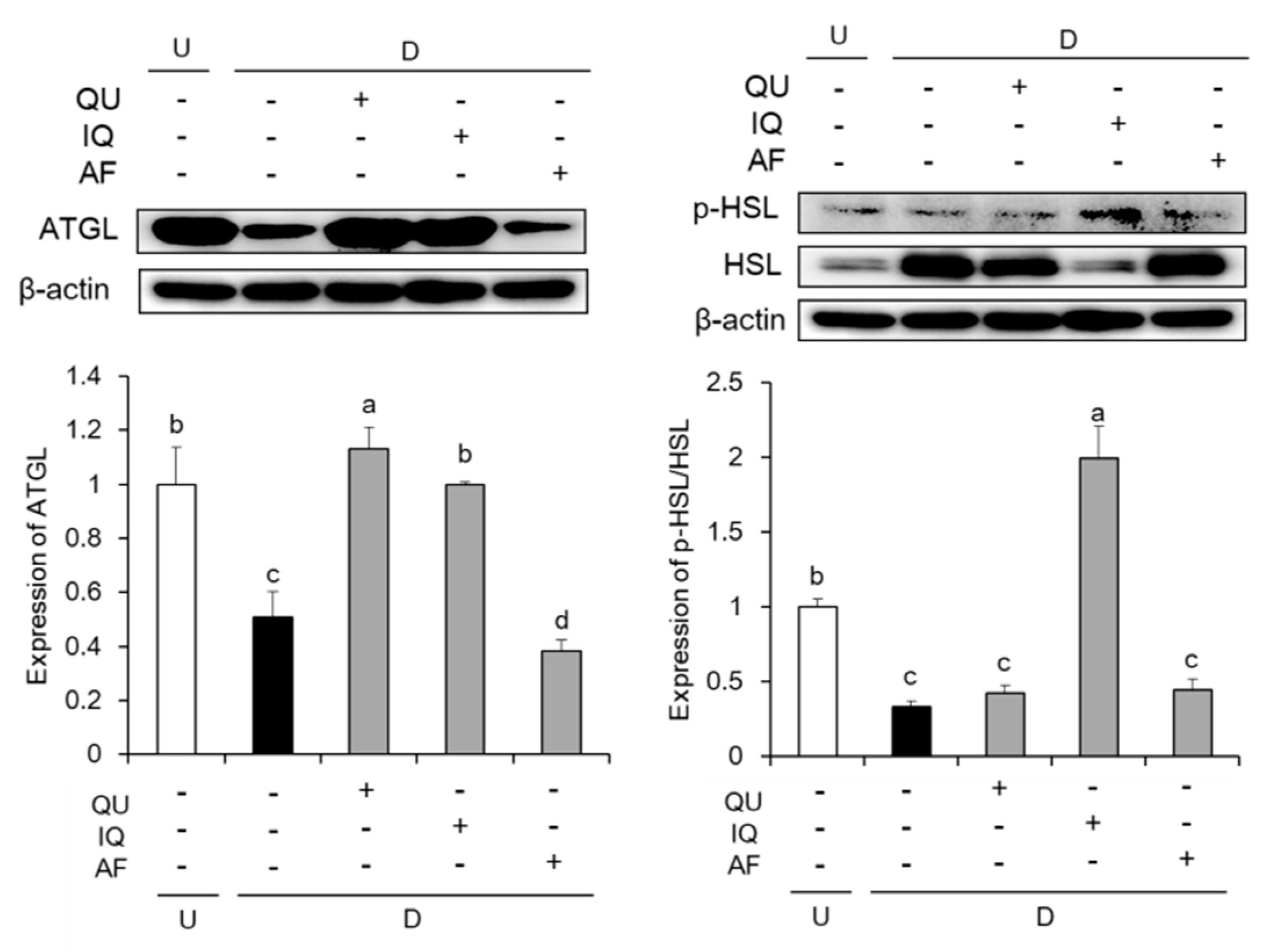 Molecules 25 01920 g006
