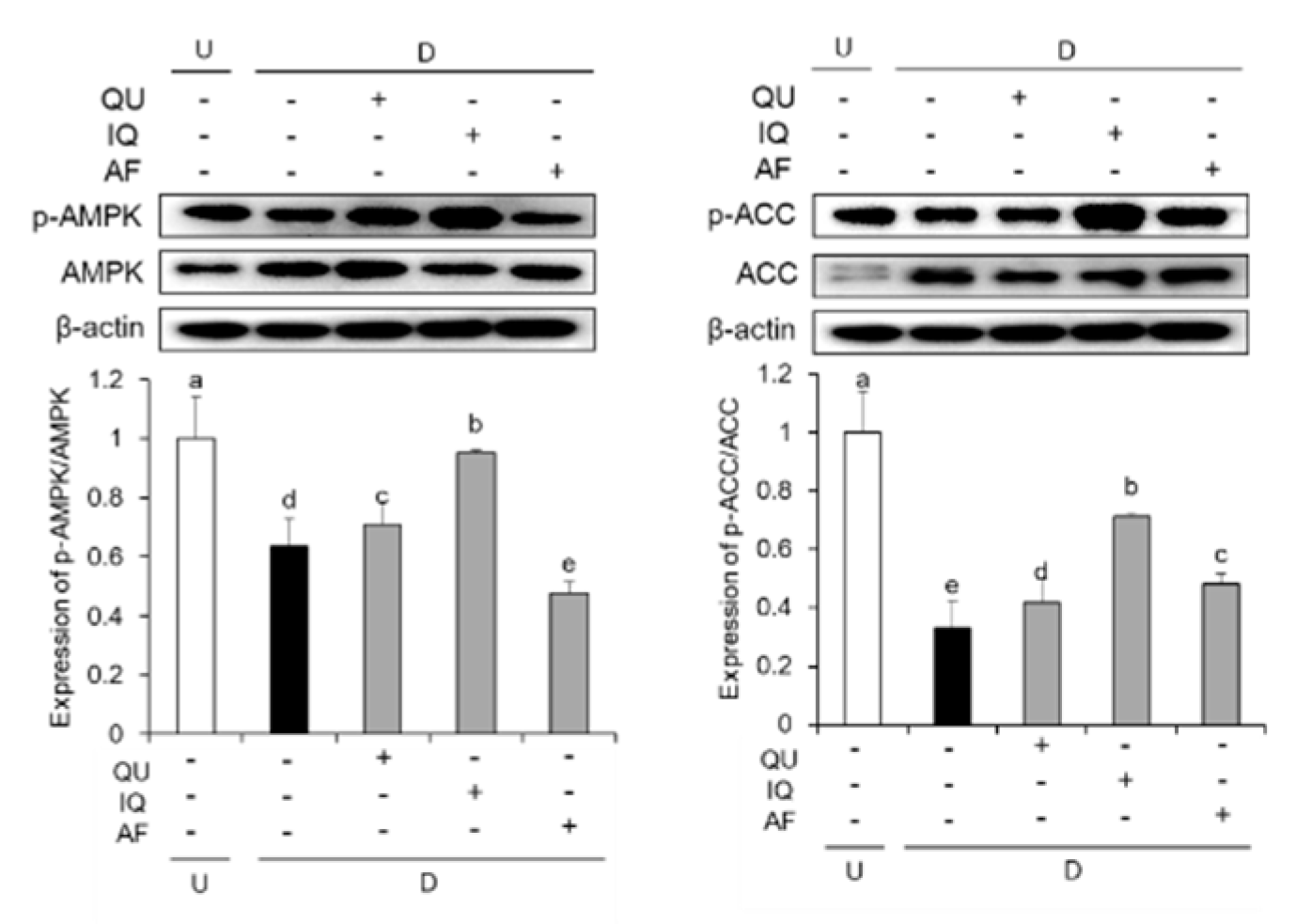 Molecules 25 01920 g007
