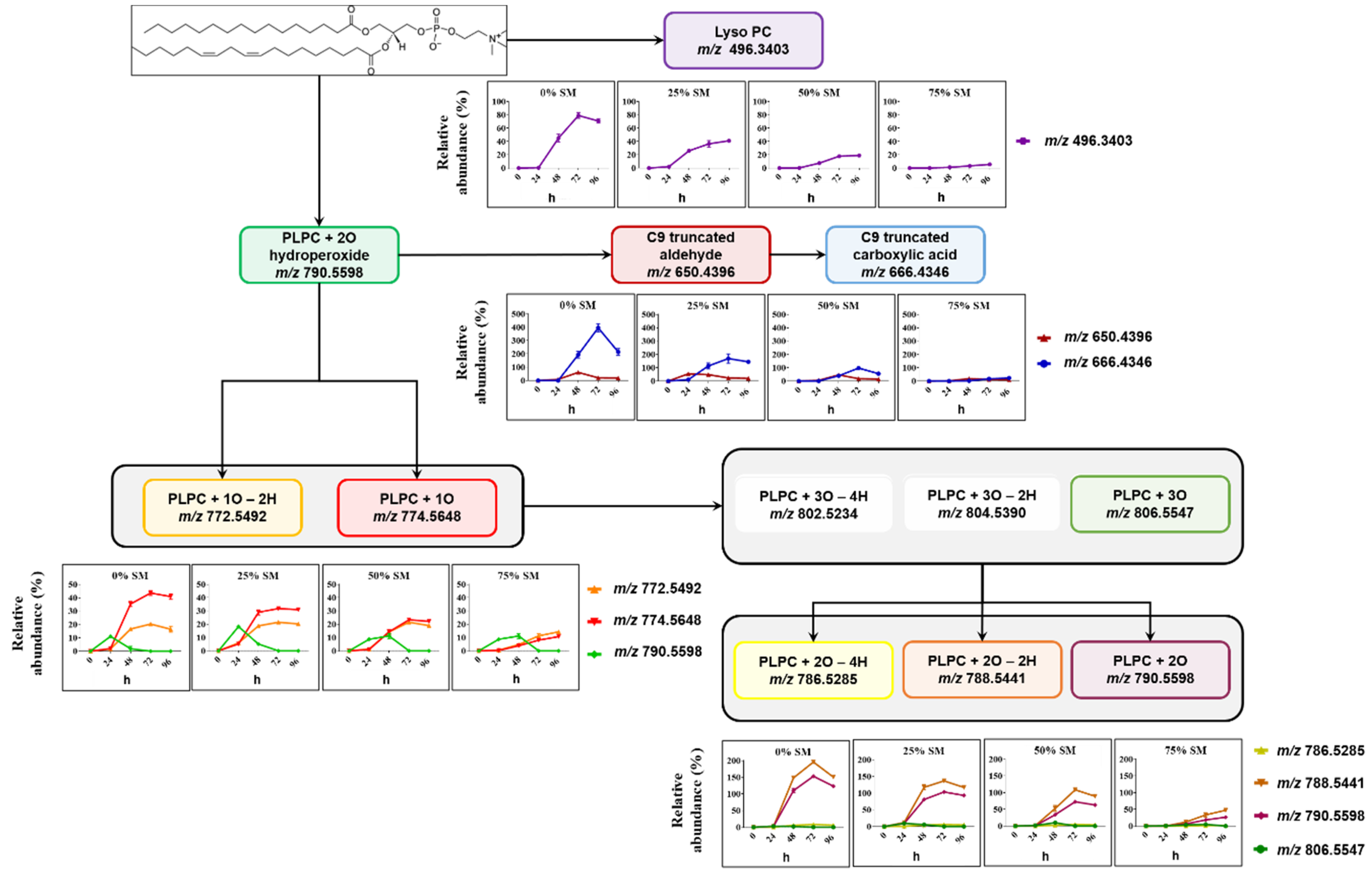 Molecules 25 01925 g004