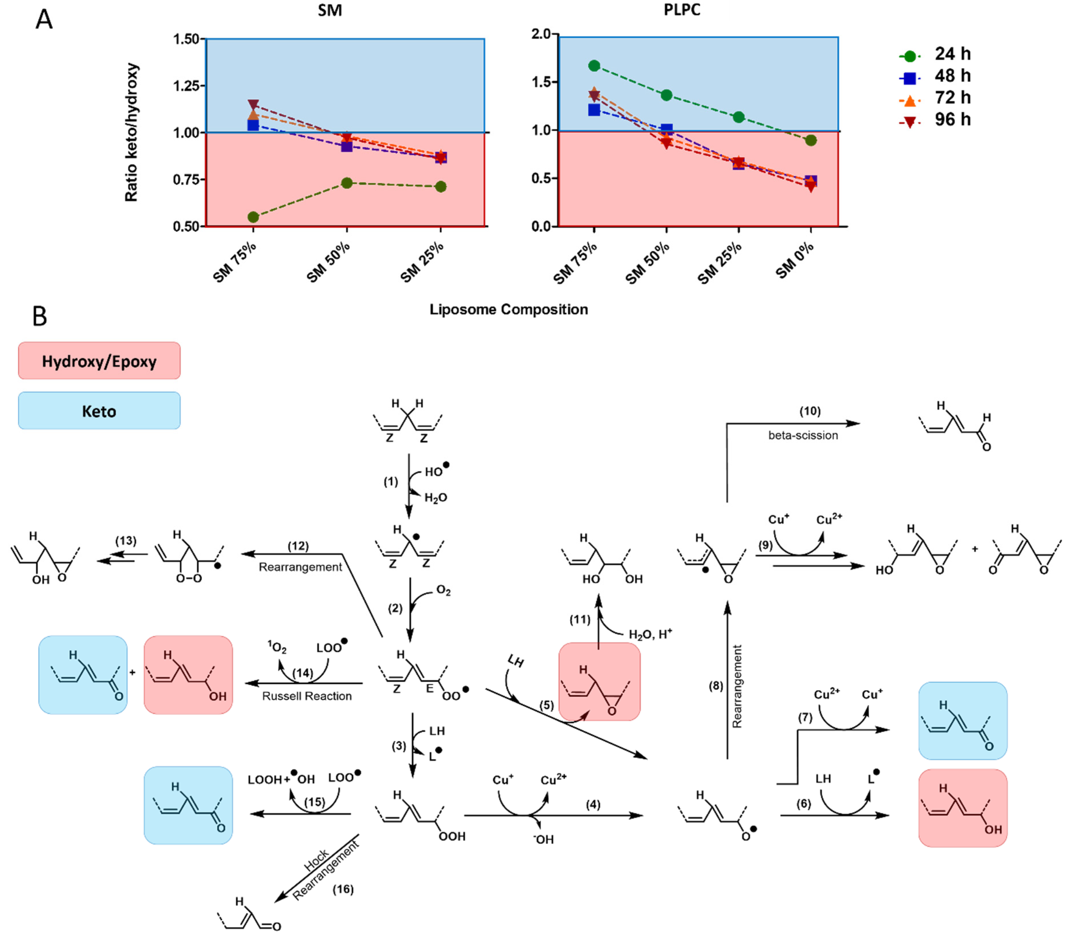 Molecules 25 01925 g005