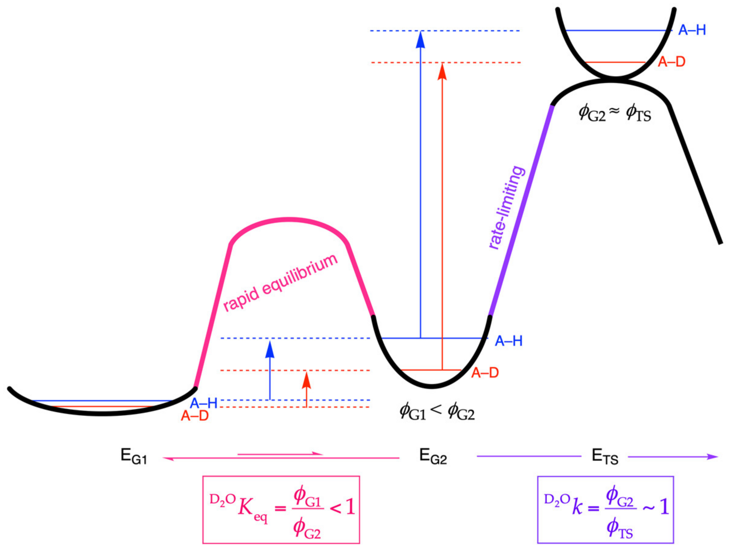 Molecules 25 01933 g001