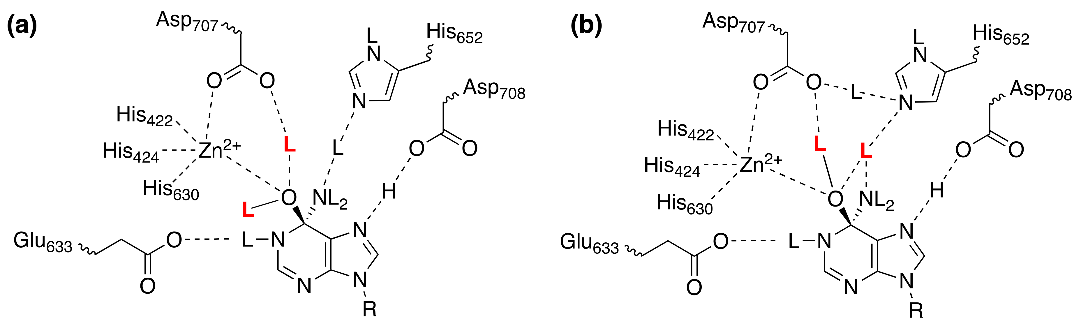 Molecules 25 01933 g003