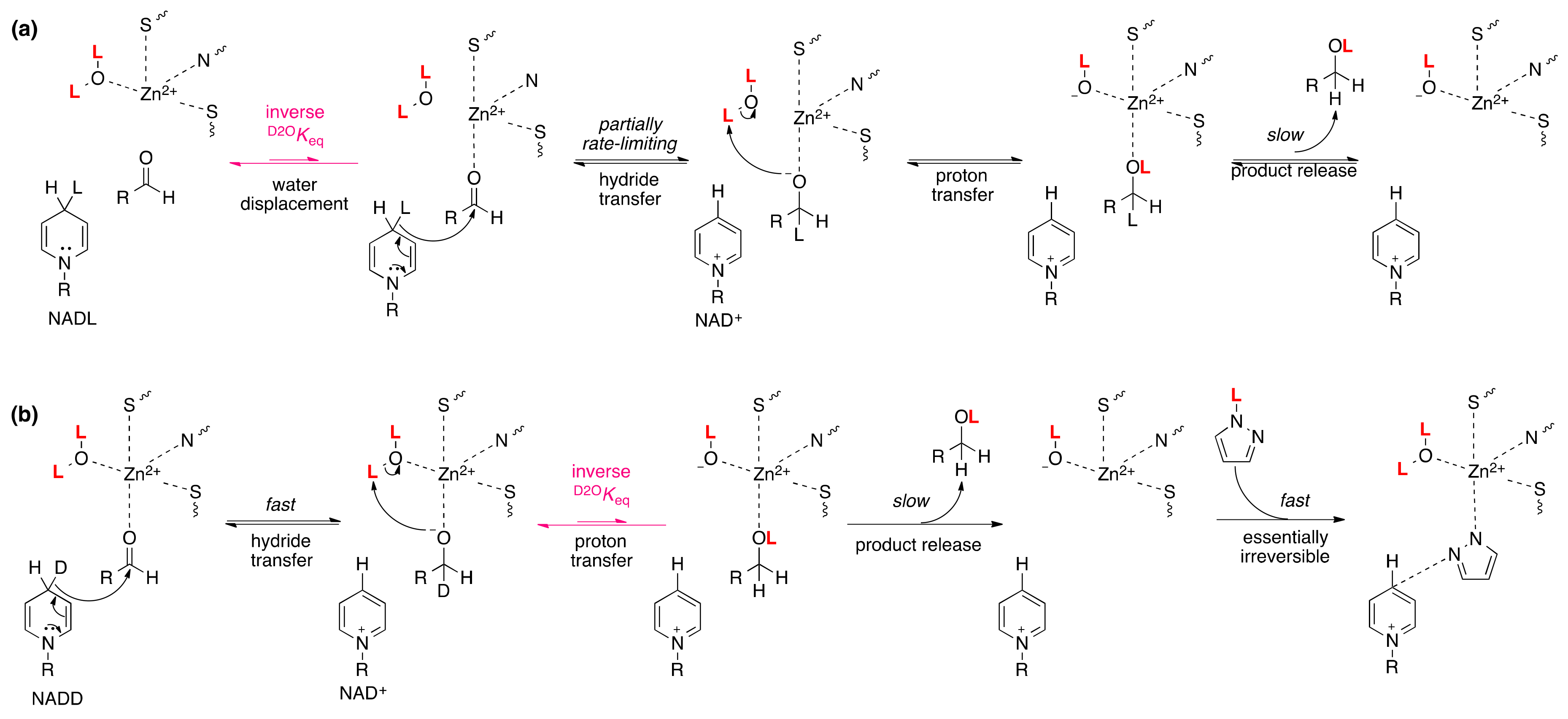 Molecules 25 01933 sch003