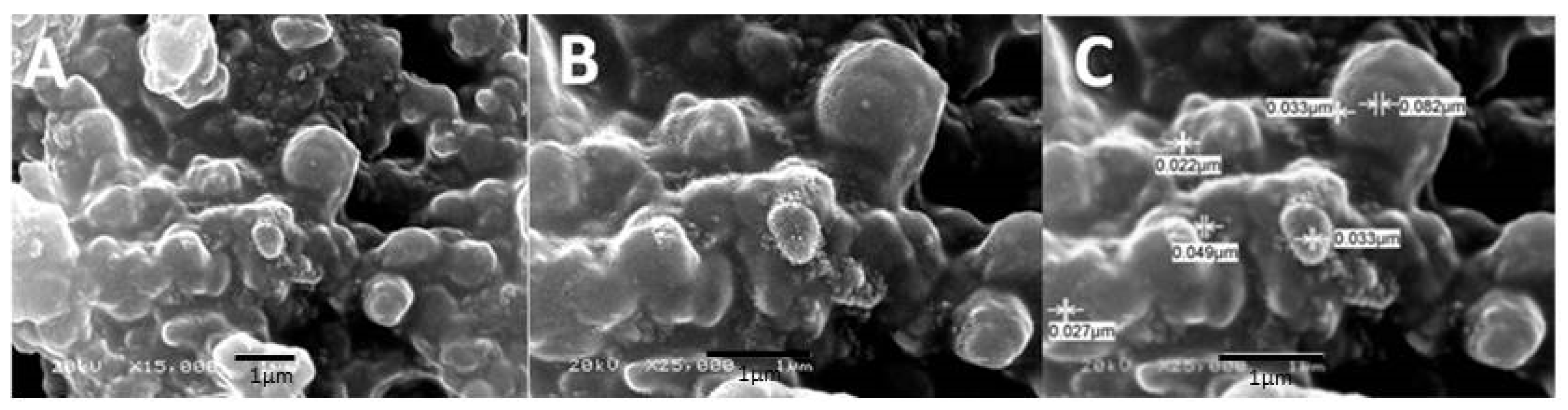 Molecules 25 01936 g003 Molecules 25 01936 g003