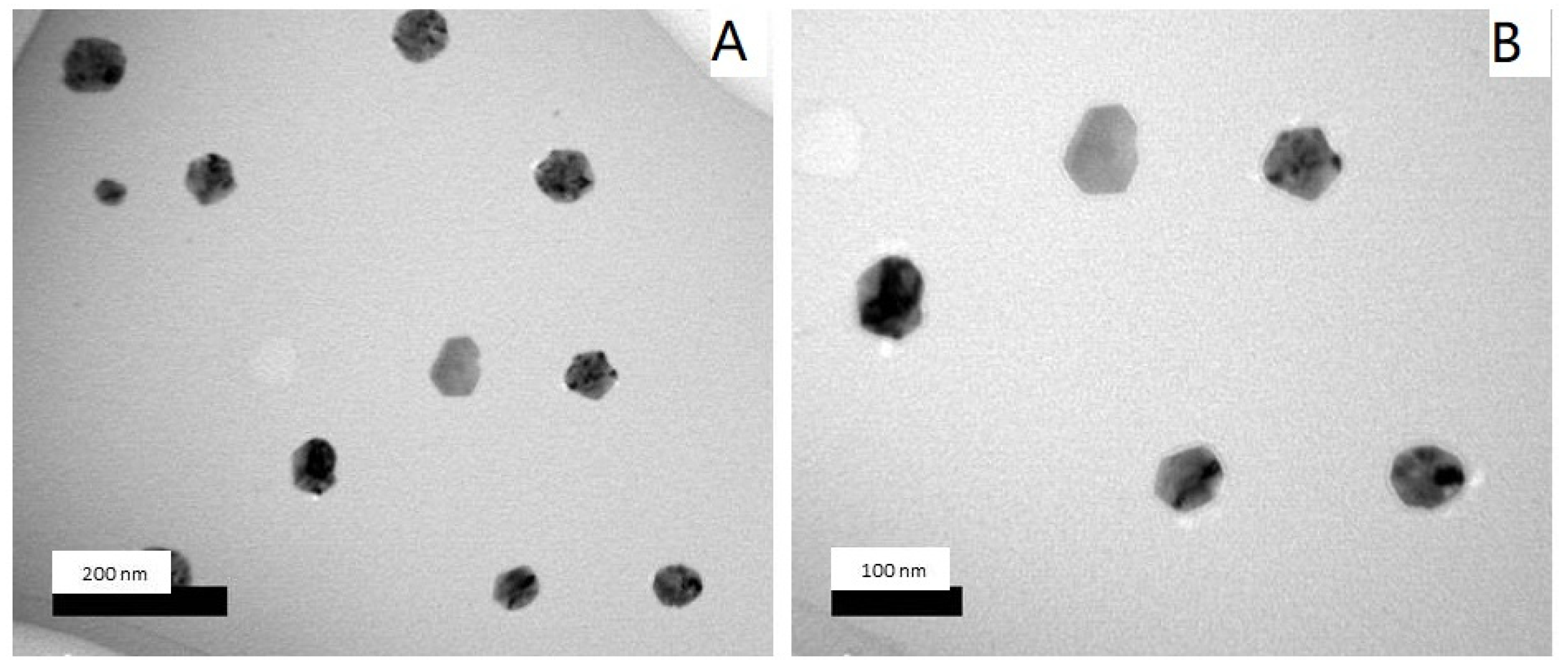 Molecules 25 01936 g004 Molecules 25 01936 g004