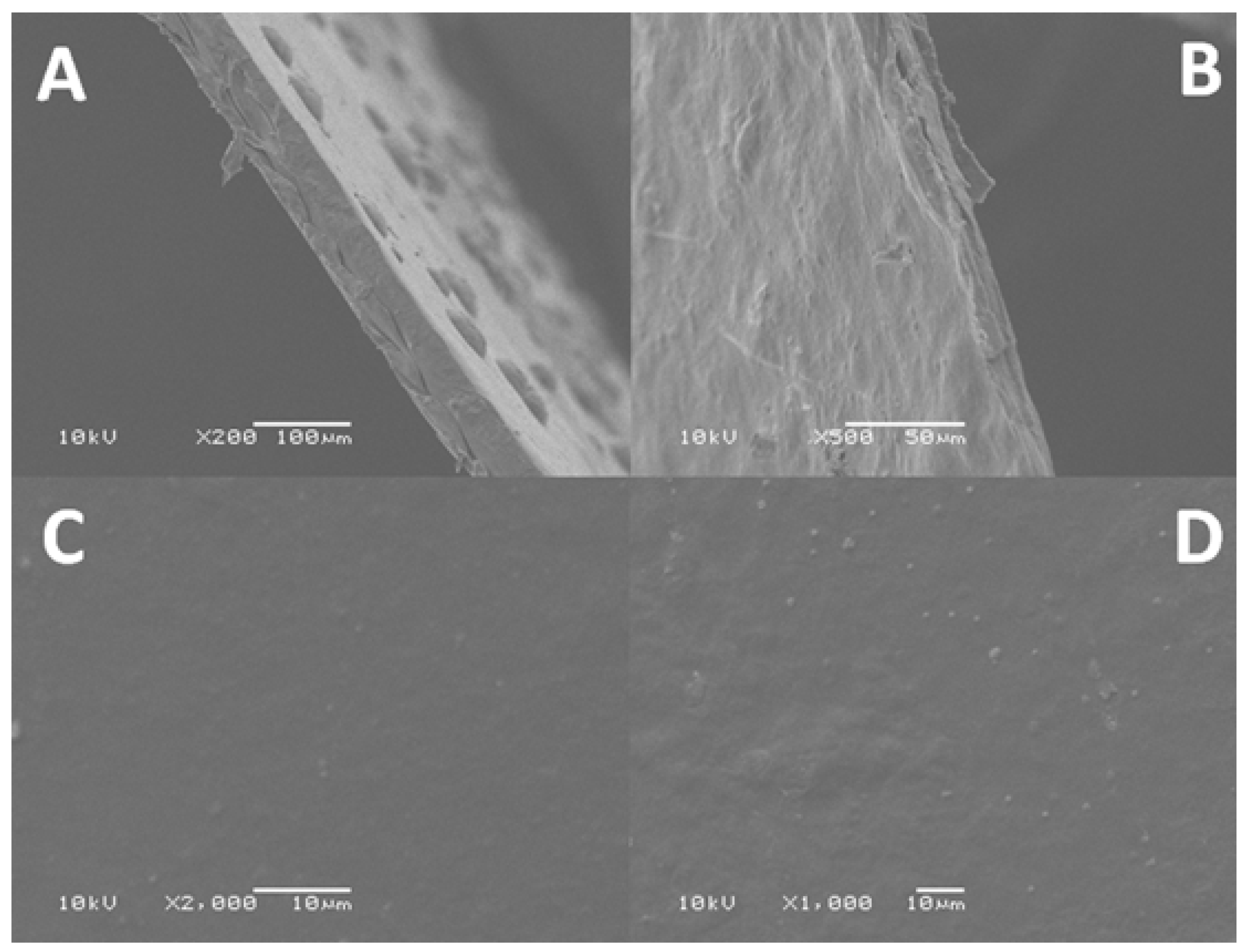 Molecules 25 01936 g008 Molecules 25 01936 g008