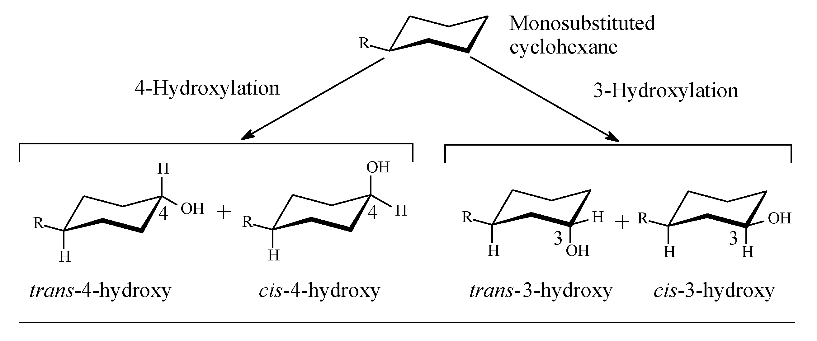 Molecules 25 01937 g001 Molecules 25 01937 g001