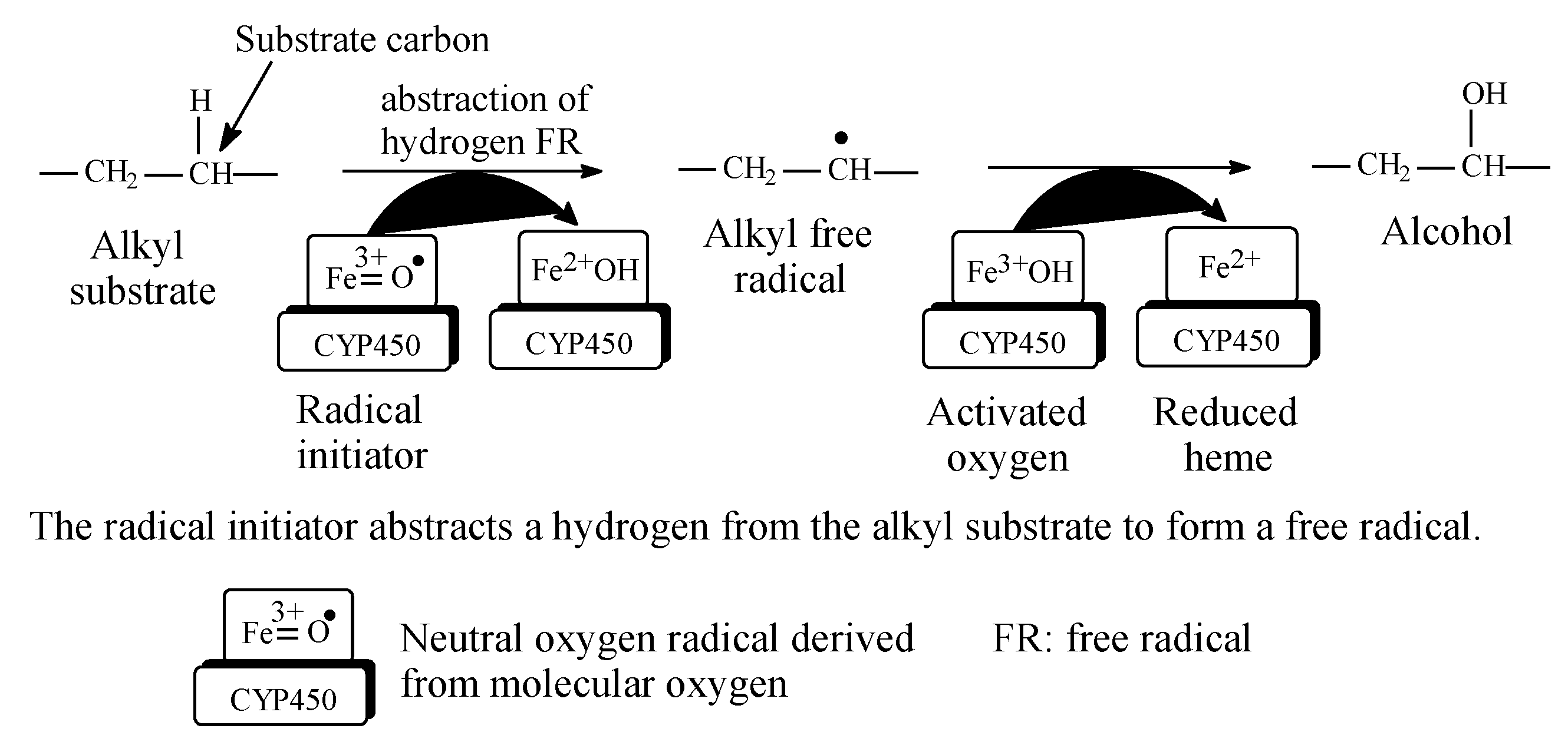 Molecules 25 01937 g002 Molecules 25 01937 g002